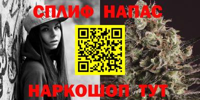 мяу мяу мука Будённовск