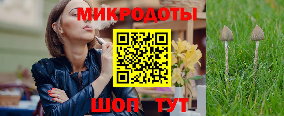 Галлюциногенные грибы Psilocybine cubensis Семёнов